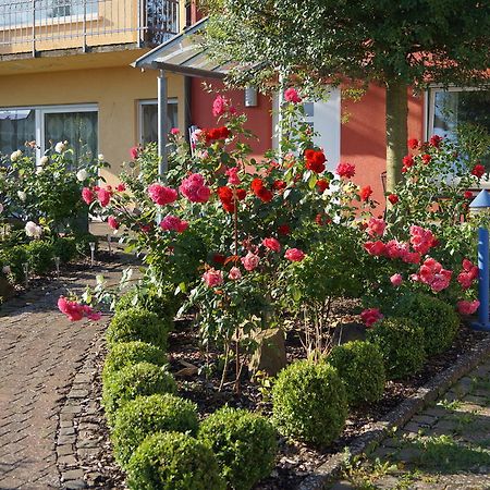 Ferienhaus Schloss-Garten 카펠렌-드루스와일러 외부 사진