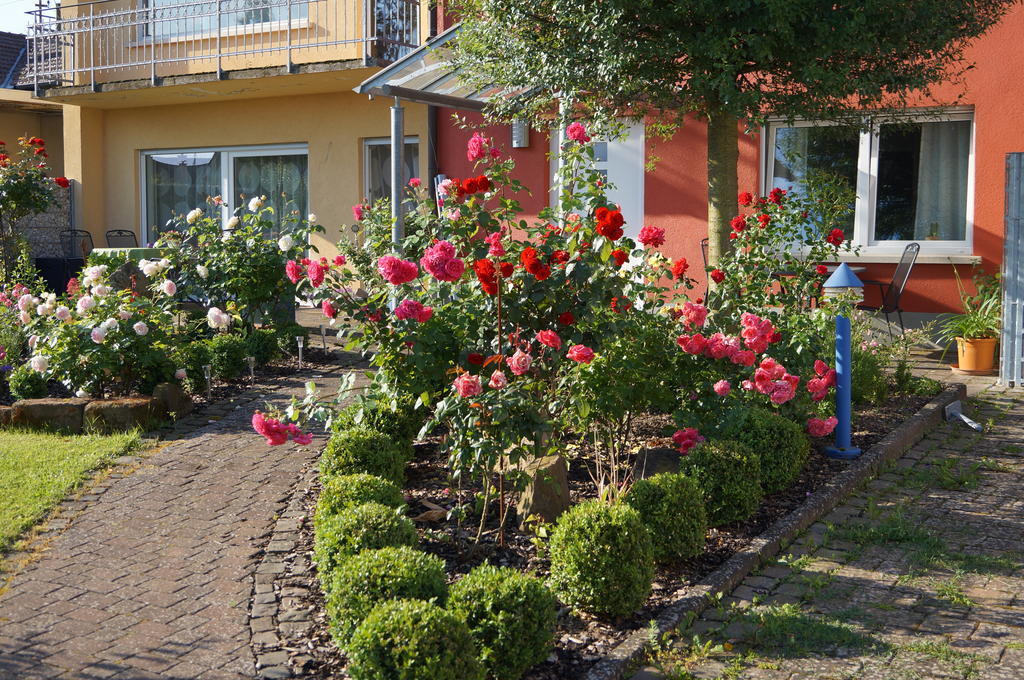 Ferienhaus Schloss-Garten 카펠렌-드루스와일러 외부 사진