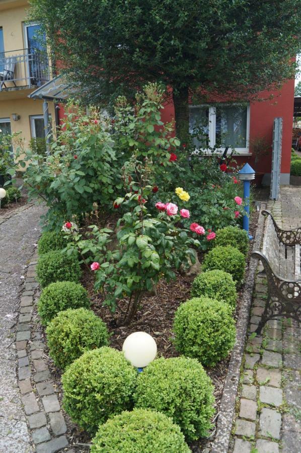 Ferienhaus Schloss-Garten 카펠렌-드루스와일러 외부 사진